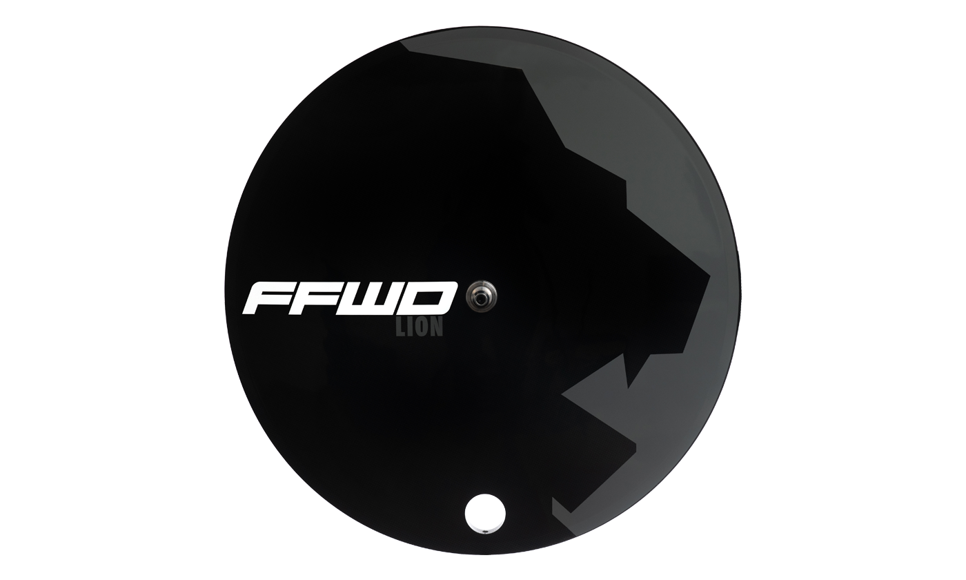 DISC-T LION (1)